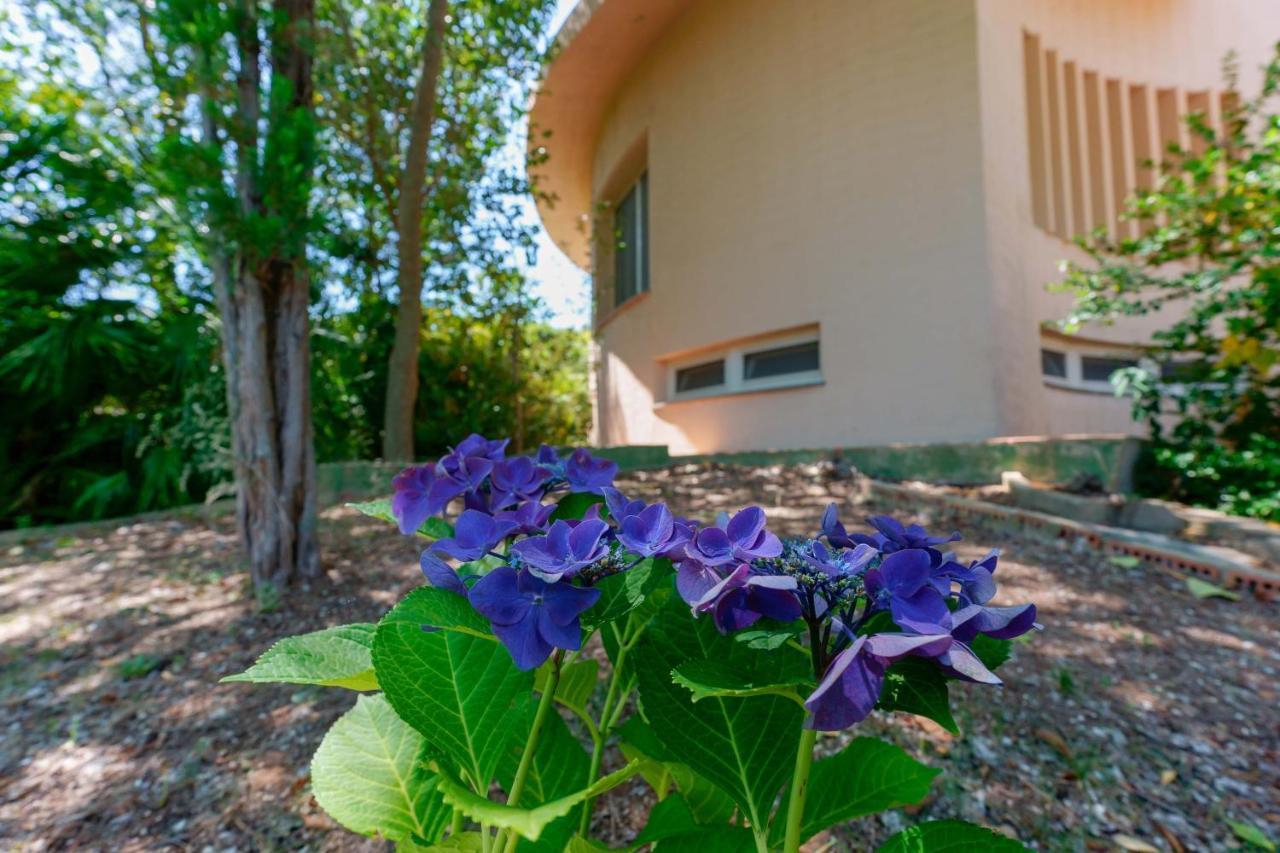 B&B Villa Zola คาโปแตร์รา ภายนอก รูปภาพ